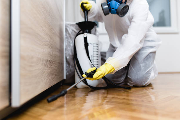 Best Pest Control Near Me  in Bloomingdale, FL