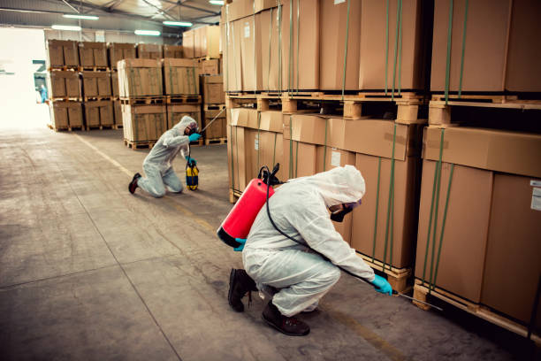 Best Affordable Pest Control Services  in Bloomingdale, FL
