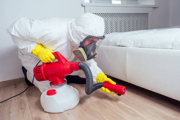 Best Best Pest Control Companies  in Bloomingdale, FL