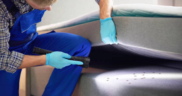 Best Best Pest Control Companies  in Bloomingdale, FL