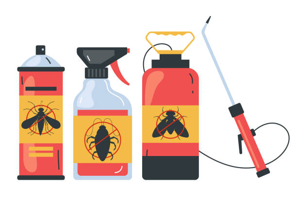 Best Termite Control Services  in Bloomingdale, FL
