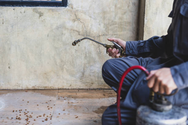 Best Emergency Pest Control  in Bloomingdale, FL